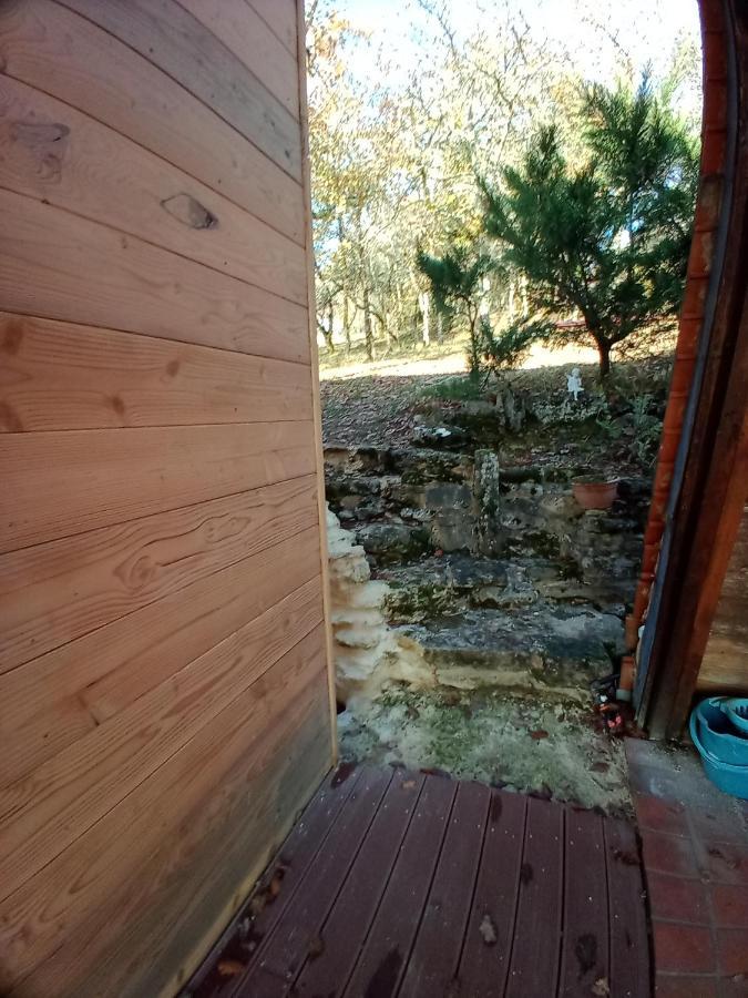 Maison Dans Un Ecrin De Verdure Saint-Leon-sur-Vezere Kültér fotó